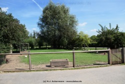 fotografie-30