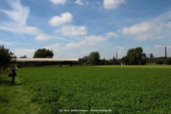 fotografie-47