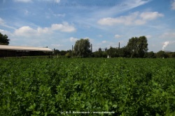fotografie-54
