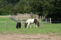 fotografie-62