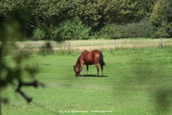 fotografie-95