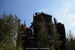 fotografie-199