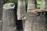 fotografie-14