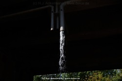 fotografie-6