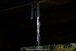 fotografie-52