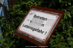 fotografie-34
