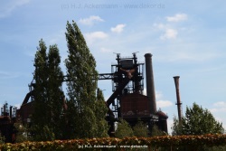 fotografie-78