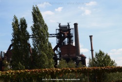 fotografie-135