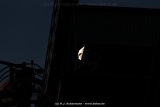 fotografie-174