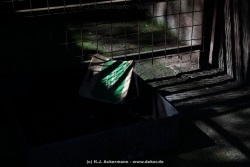 fotografie-151