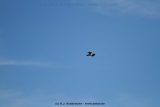 fotografie-6