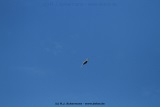 fotografie-11