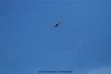 fotografie-12