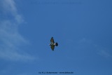 fotografie-16