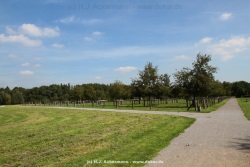 fotografie-6