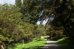 fotografie-11