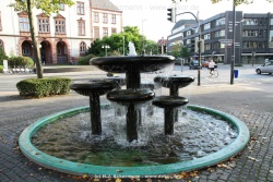 fotografie-15