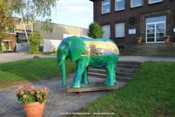 fotografie-28