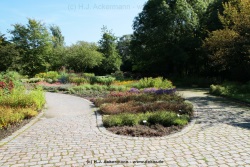 fotografie-50