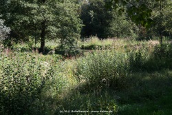 fotografie-99