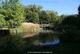fotografie-106