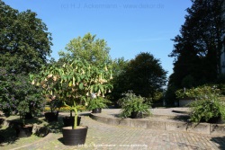 fotografie-132