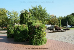 fotografie-148