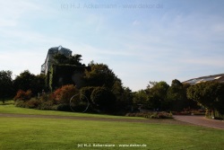 fotografie-152