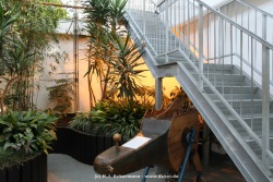 fotografie-11
