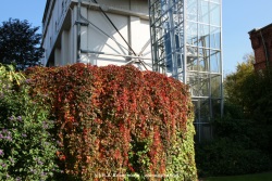 fotografie-9