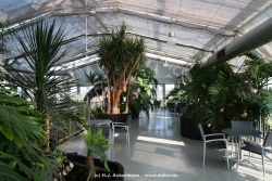 fotografie-20