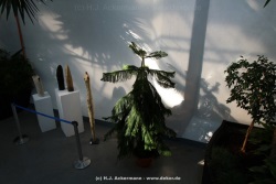 fotografie-28