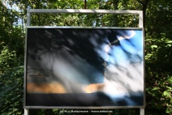 fotografie-15