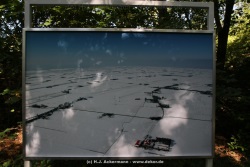 fotografie-33