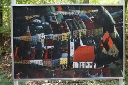 fotografie-34