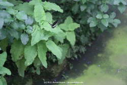 fotografie-5