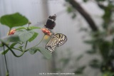 fotografie-13