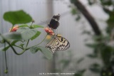 fotografie-14