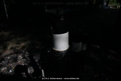 fotografie-35