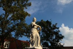 fotografie-6