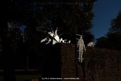 fotografie-5