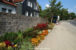 fotografie-109