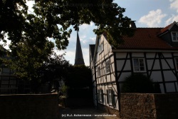 fotografie-28