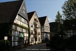 fotografie-19