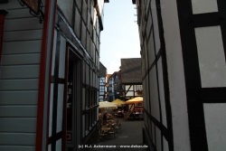 fotografie-128