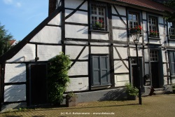 fotografie-57