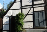 fotografie-9