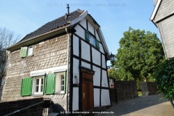 fotografie-16