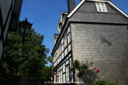 fotografie-15