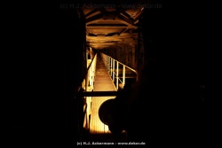fotografie-15